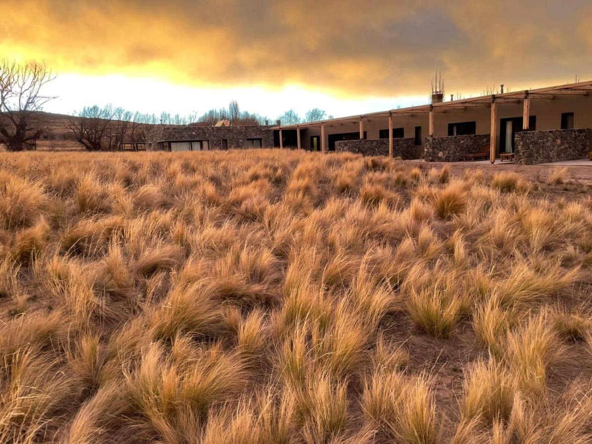 Rancho Adobe Eco Hotel Tupungato Eksteriør bilde