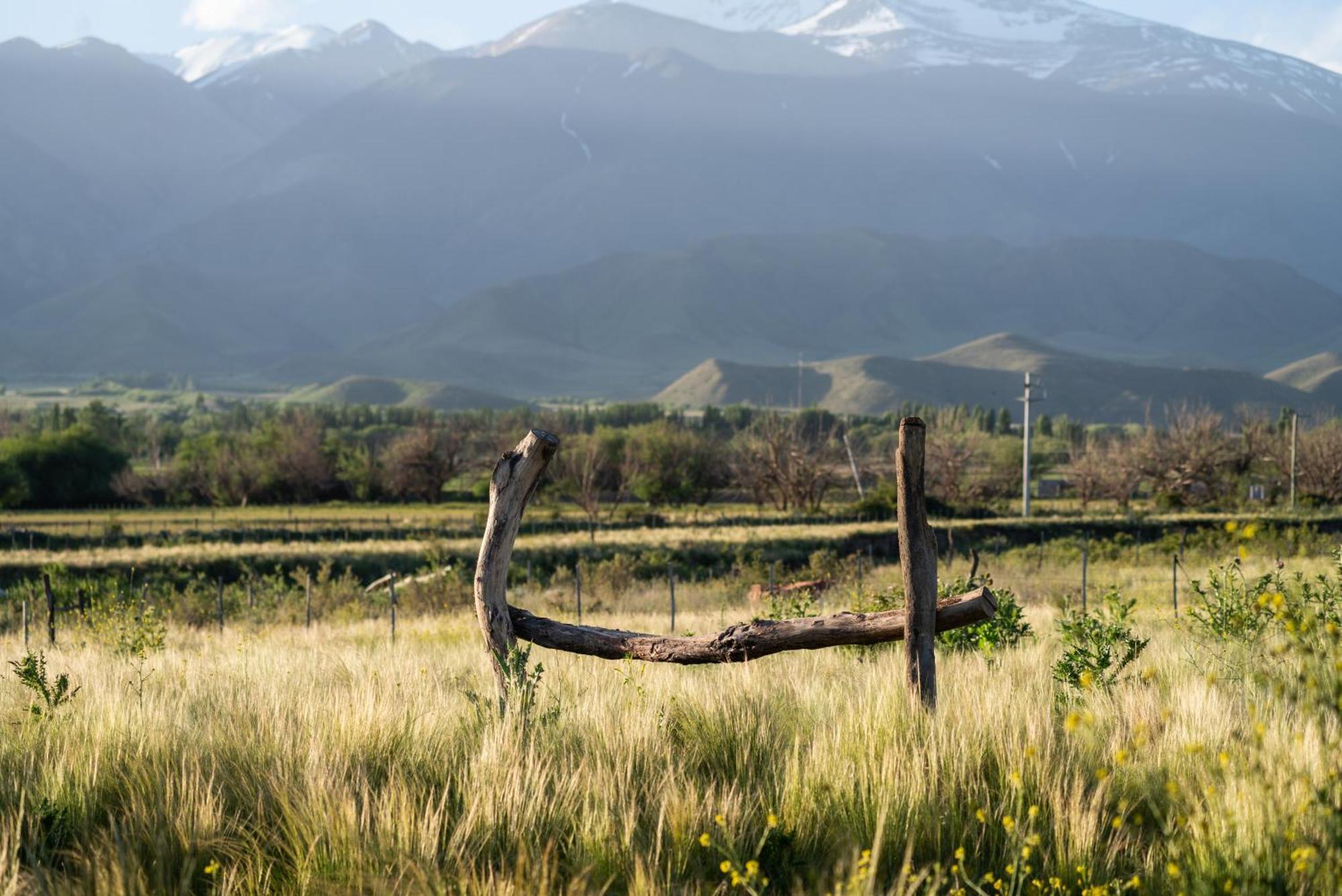 Rancho Adobe Eco Hotel Tupungato Eksteriør bilde